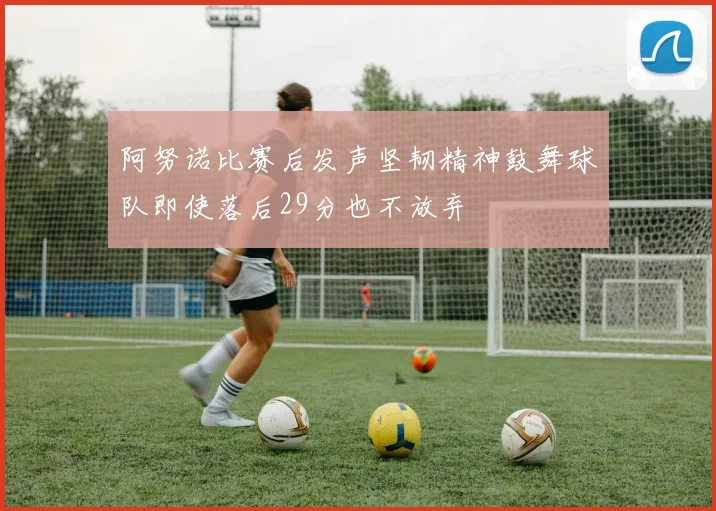 阿努诺比赛后发声坚韧精神鼓舞球队即使落后29分也不放弃