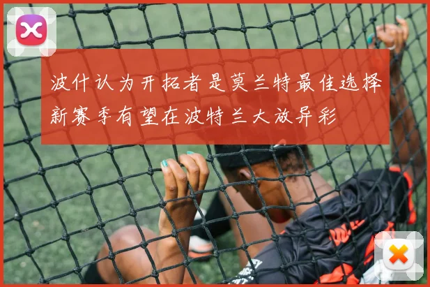 波什认为开拓者是莫兰特最佳选择新赛季有望在波特兰大放异彩