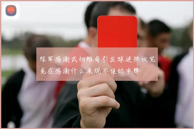 绿军感谢武切维奇引发球迷热议究竟在感谢什么表现不佳的中锋